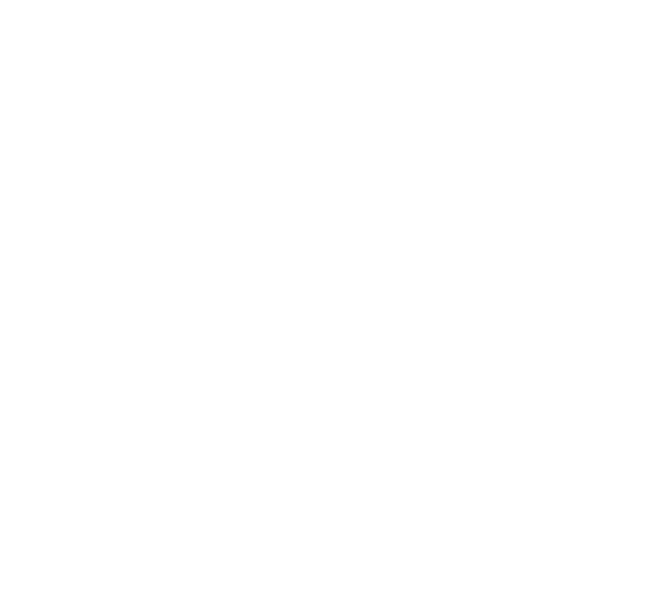PUBG Mobile National Championship Turkiye 2025