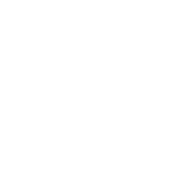 PUBG Mobile Yıldızlar Ligi 2024